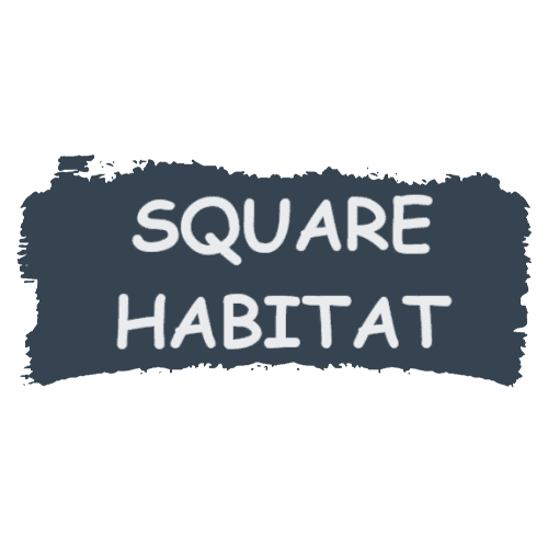 SQUARE HABITAT - Salon de l'Habitat de Lamballe 2023